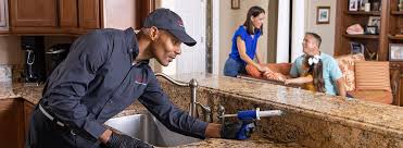 Real Estate Pest Inspections in Wauna, WA